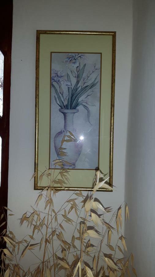 Apartament Lili'S House Ližnjan Zewnętrze zdjęcie